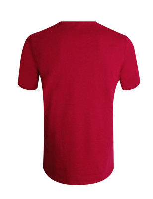 Dos du tee-shirt Caskabarb Otago hibiscus red pour homme