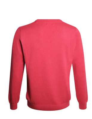 dos du Pull col V homme CARBUN Otago marsala