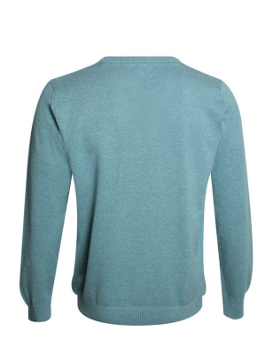 dos du Pull col V pour homme CARBUN Otago vert clair